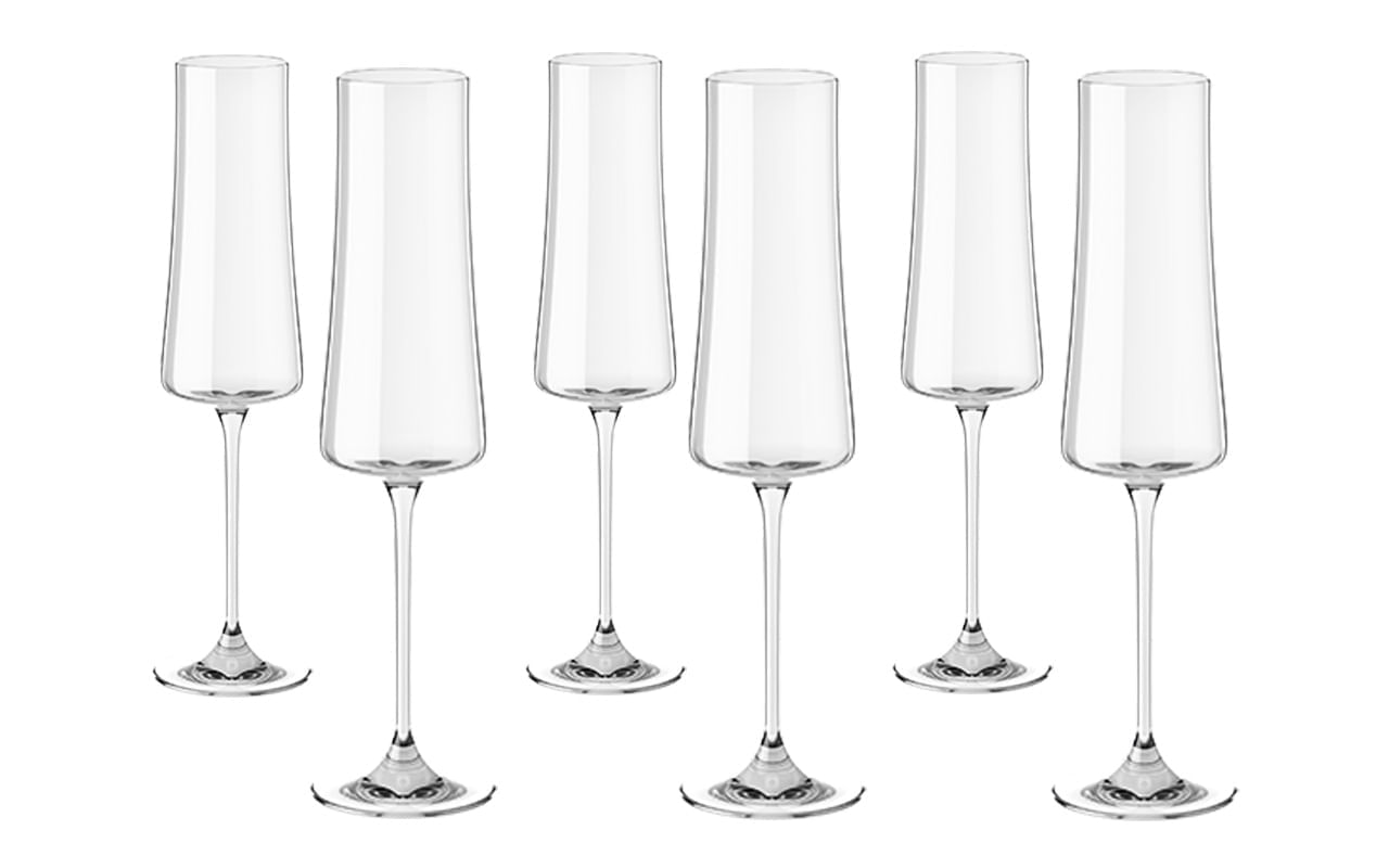 Jogo de 6 Taças para Espumante em Cristal Bohemia 210ml Haus Concept Pleasure
