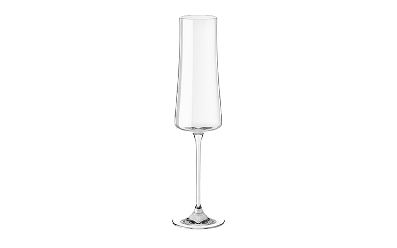 Jogo de 6 Taças para Espumante em Cristal Bohemia 210ml Haus Concept Pleasure - Imagem 5