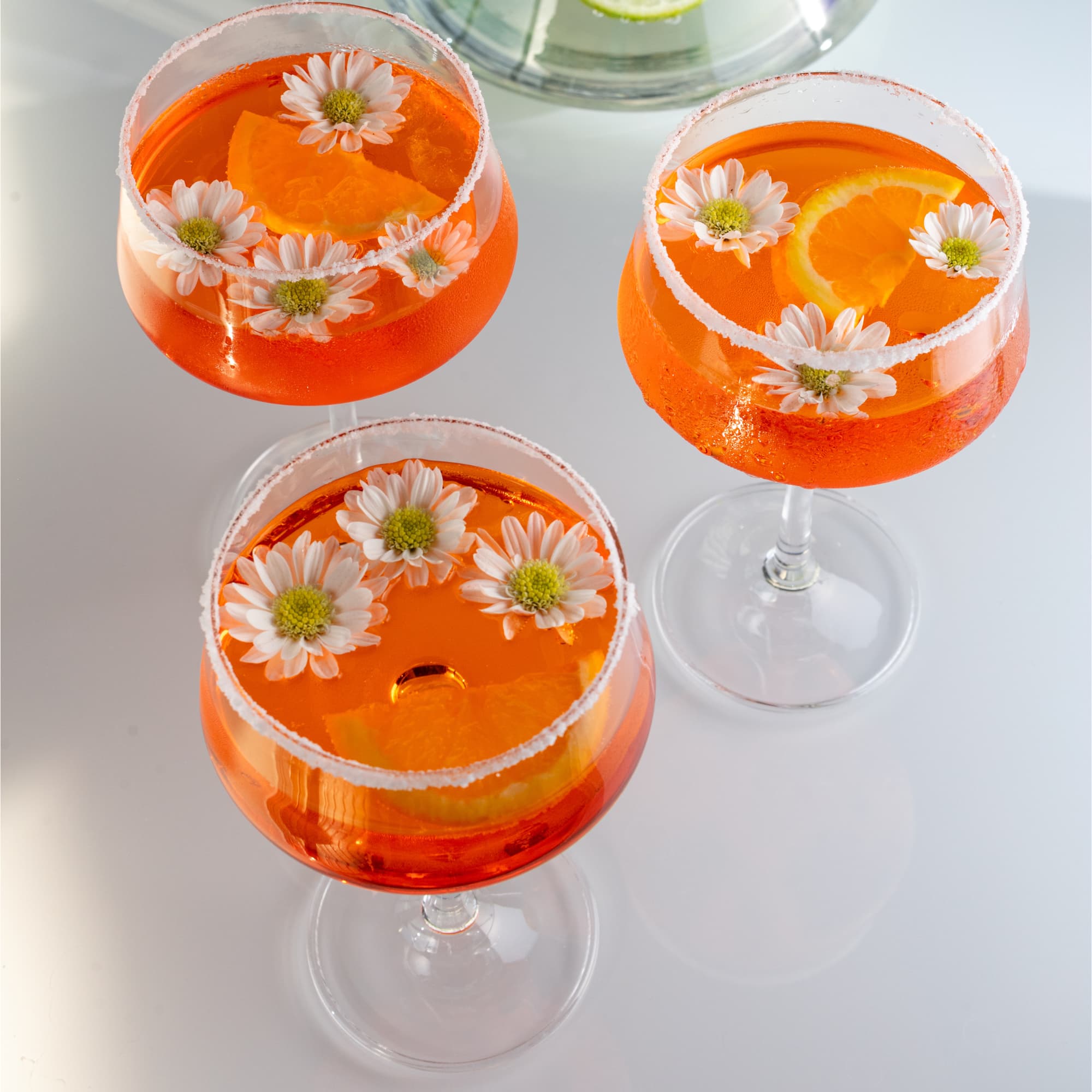 Jogo de 6 Taças para Espumante Vintage em Cristal Bohemia 220ml Haus Concept Pleasure - Imagem 7